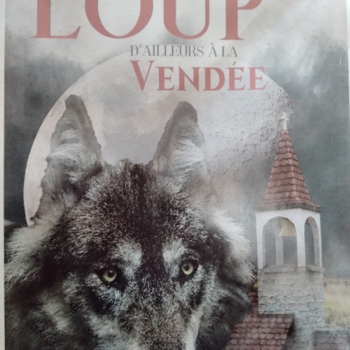PRESENTATION LITTERAIRE MARIANNE-AMINA HUVET
