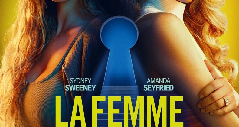 LA FEMME DE MÉNAGE