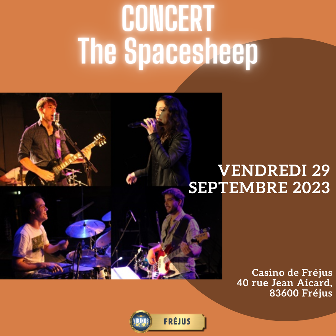 Concert The Spacesheeps