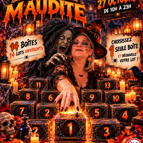 LA TOILE MAUDITE