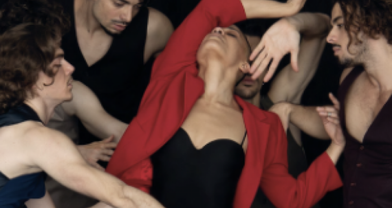 Carmen par le Ballet Julien LESTEL