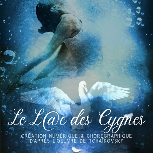 Le Lac des Cygnes