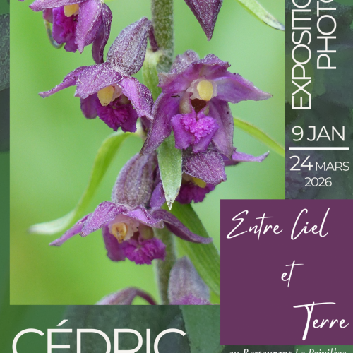 Exposition de Cédric BOURHAUX - 'Entre Ciel et Terre'