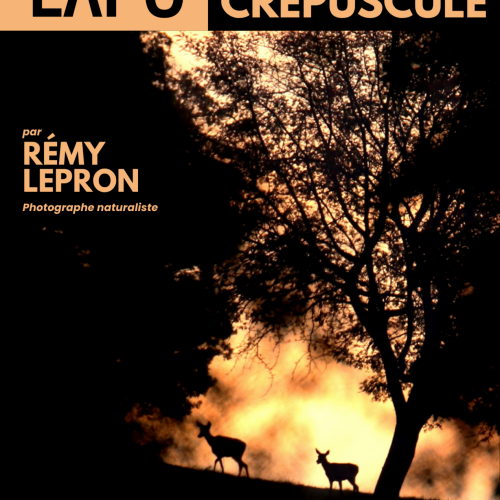 Exposition de Rémy LEPRON